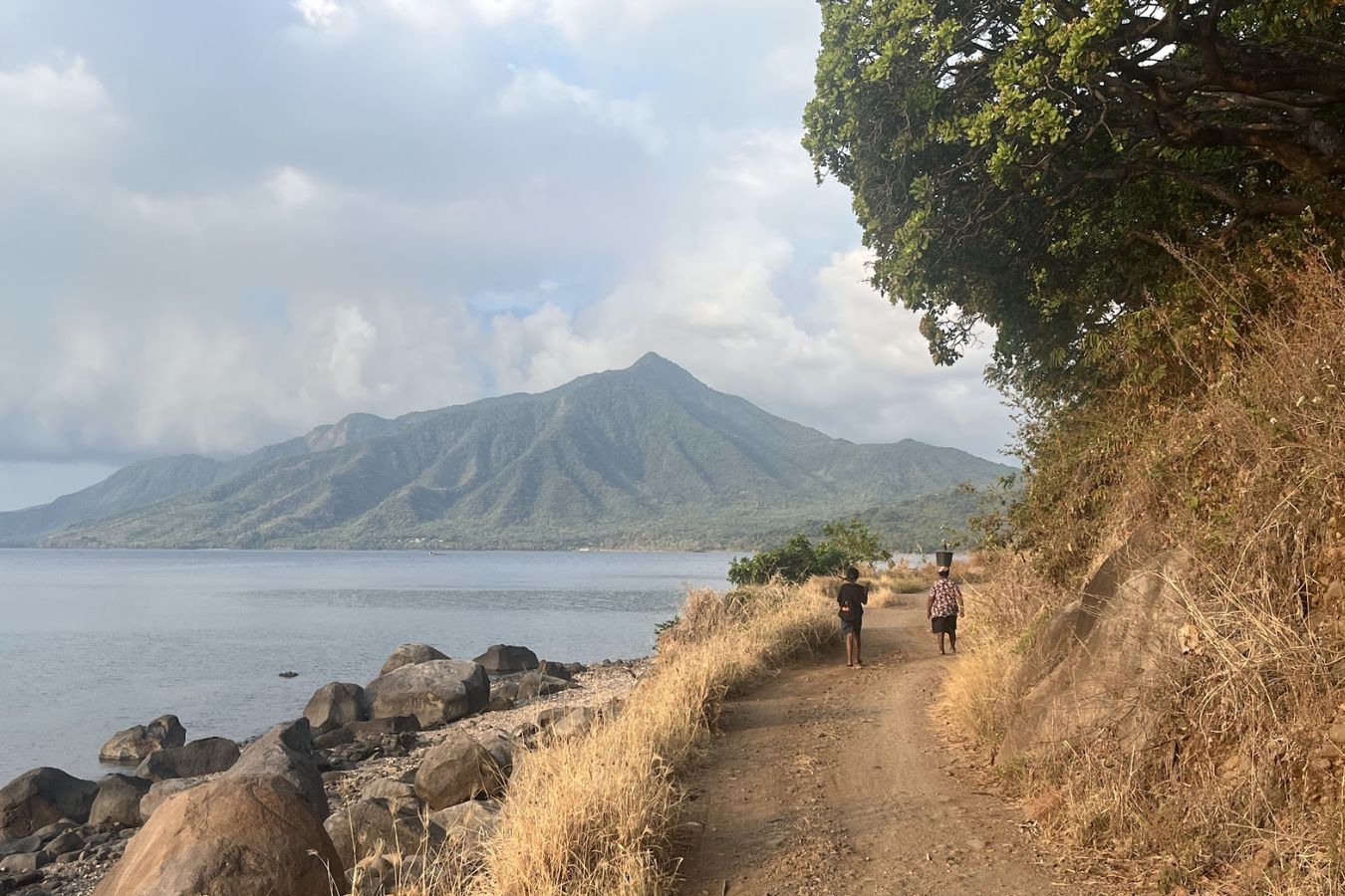 Mountain scenery in East Flores Regency